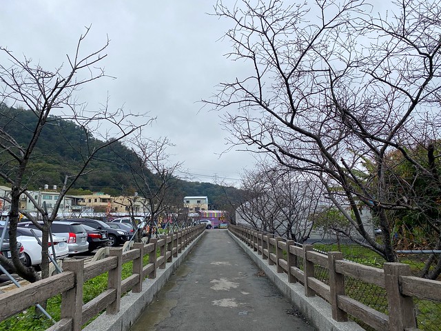 后里崴立機電櫻花公園