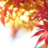 ★関西写真サークルです★
