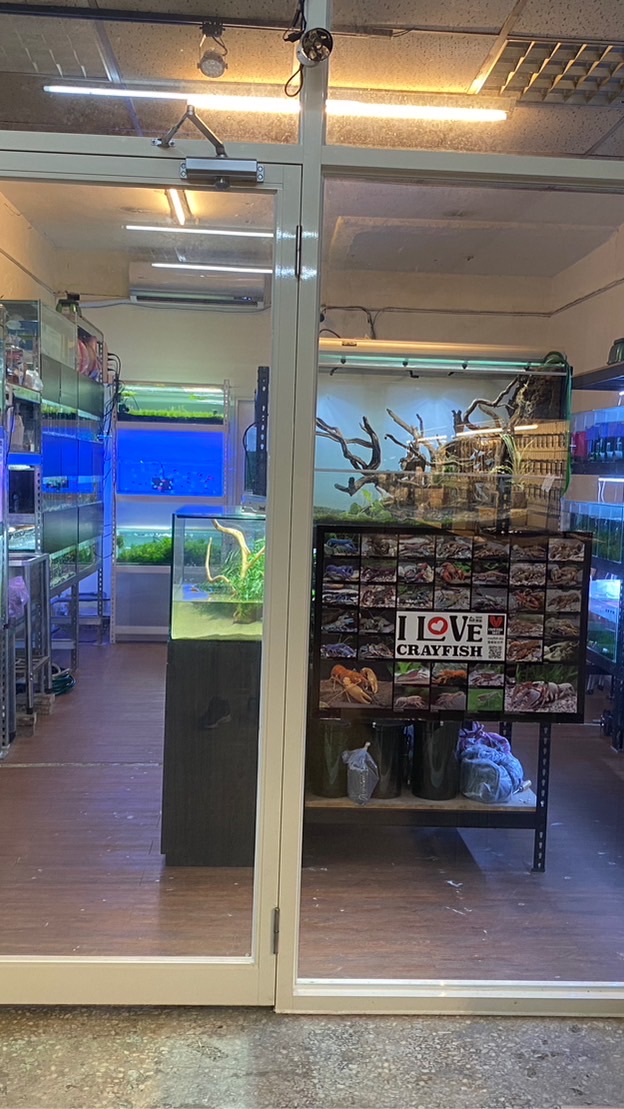 《麻吉水族》水草 （板橋）