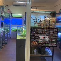 《麻吉水族》水草 （板橋）