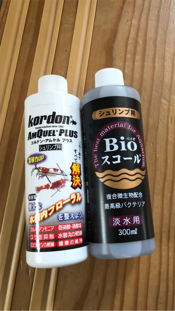 レッドビーシュリンプを楽しむ会（情報交換も含めて）みんなの癒しの趣味を楽しめる環境を