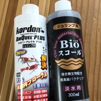 レッドビーシュリンプを楽しむ会（情報交換も含めて）みんなの癒しの趣味を楽しめる環境を