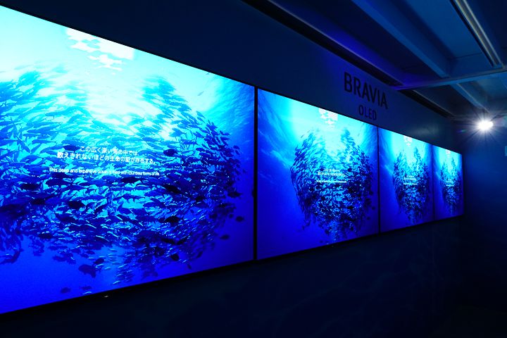 響應柯文哲田園城市政策，Sony 打造亞洲唯一 BRAVIA House 綠化建築限定店