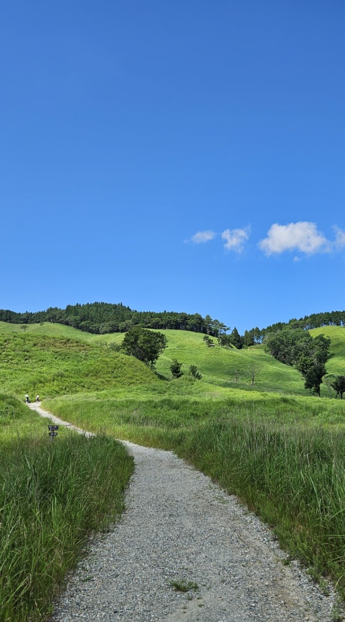 兵庫登山が好き⛰️