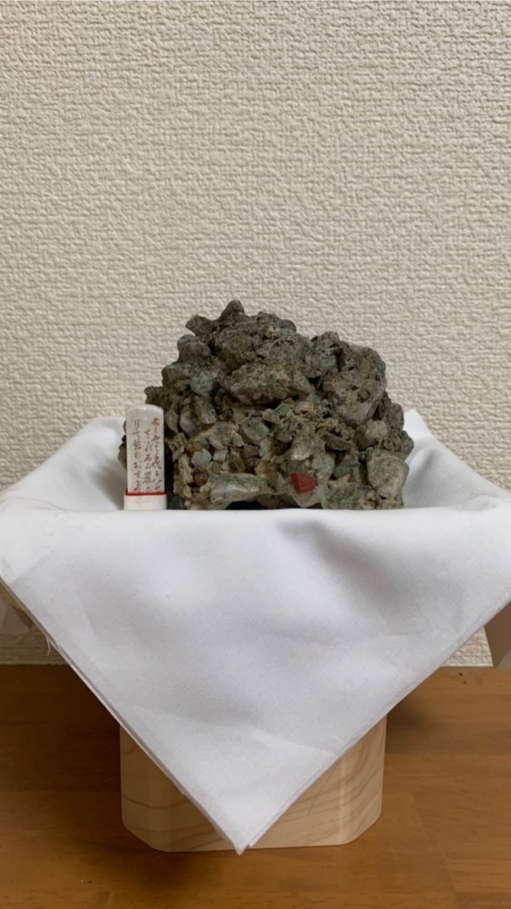 広江めぐみ（め組の会）