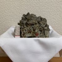 広江めぐみ（め組の会）