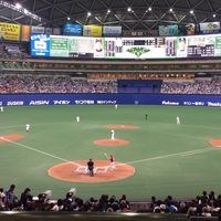 全国・中日ドラゴンズ応援団
