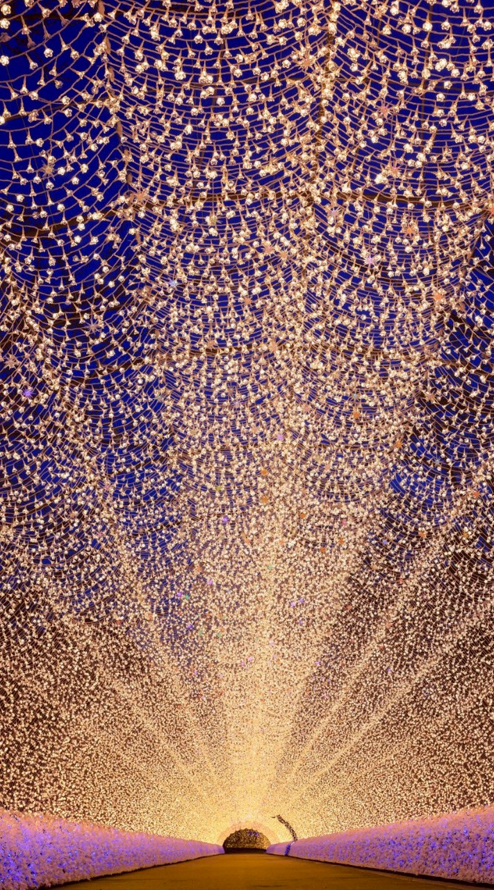 郡山市　頑張れ40～50代