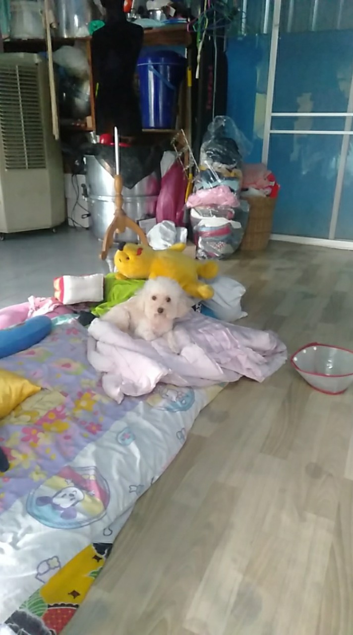 ทดสอบ