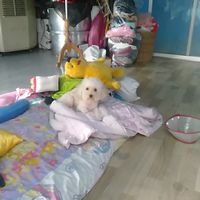 ทดสอบ