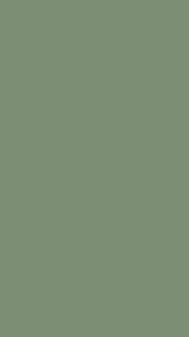 คณะสีเขียว2569