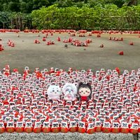 |瑄瑄子代購|ꔛ‬把錢變成吉伊卡哇ꔛ‬♡‪