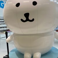 吉伊伊伊