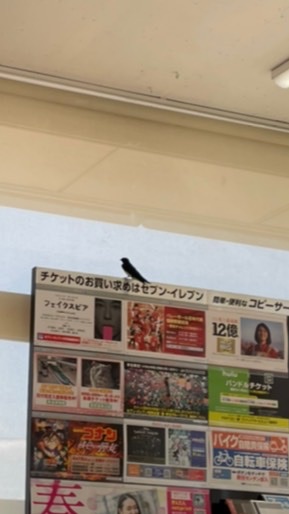 セブンイレブン杉戸並塚店