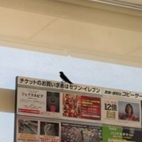 セブンイレブン杉戸並塚店