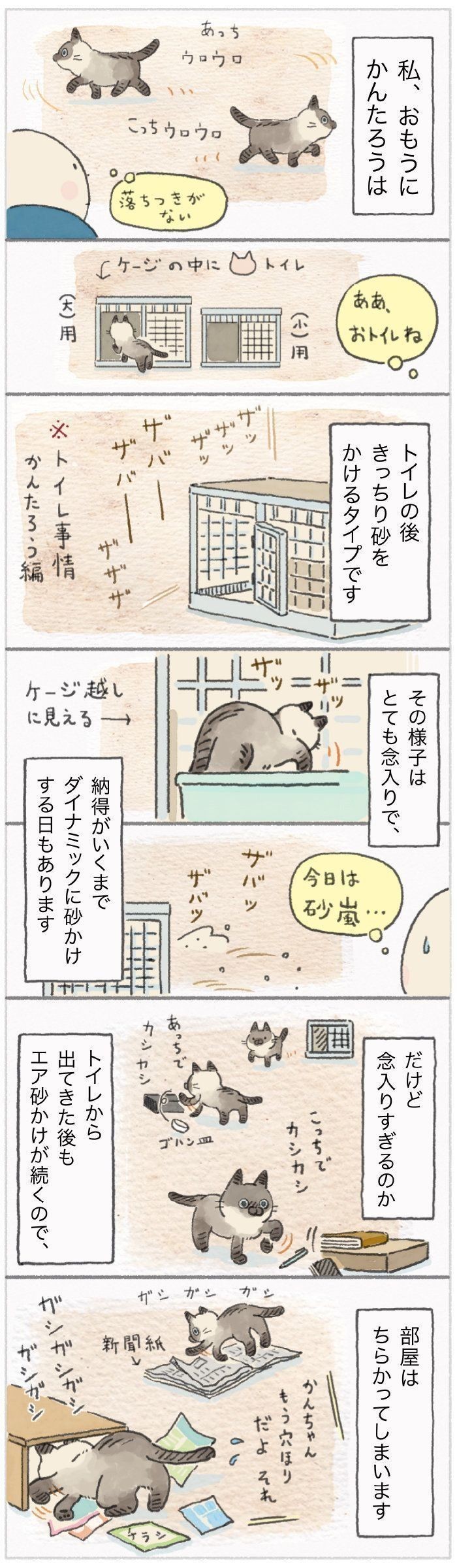 砂かけは念入り その後トイレハイで部屋が大変なことに