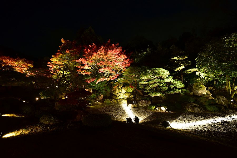 京都-知恩院-友禪苑夜楓