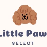 小腳印寵物選品littlepaws_select 🐾