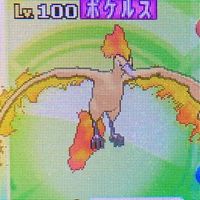 ポケモンusumで対戦したい！！！