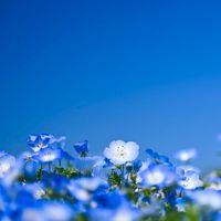 全国　40代✴︎50代で話そう🌟　たまにライブトーク