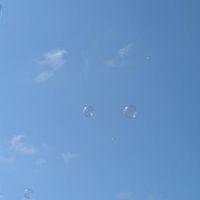 本気の！人達の歌い手事務所
