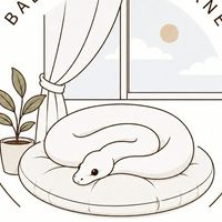 ball python corner ซื้อขายงูบอล