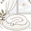 ball python corner ซื้อขายงูบอล