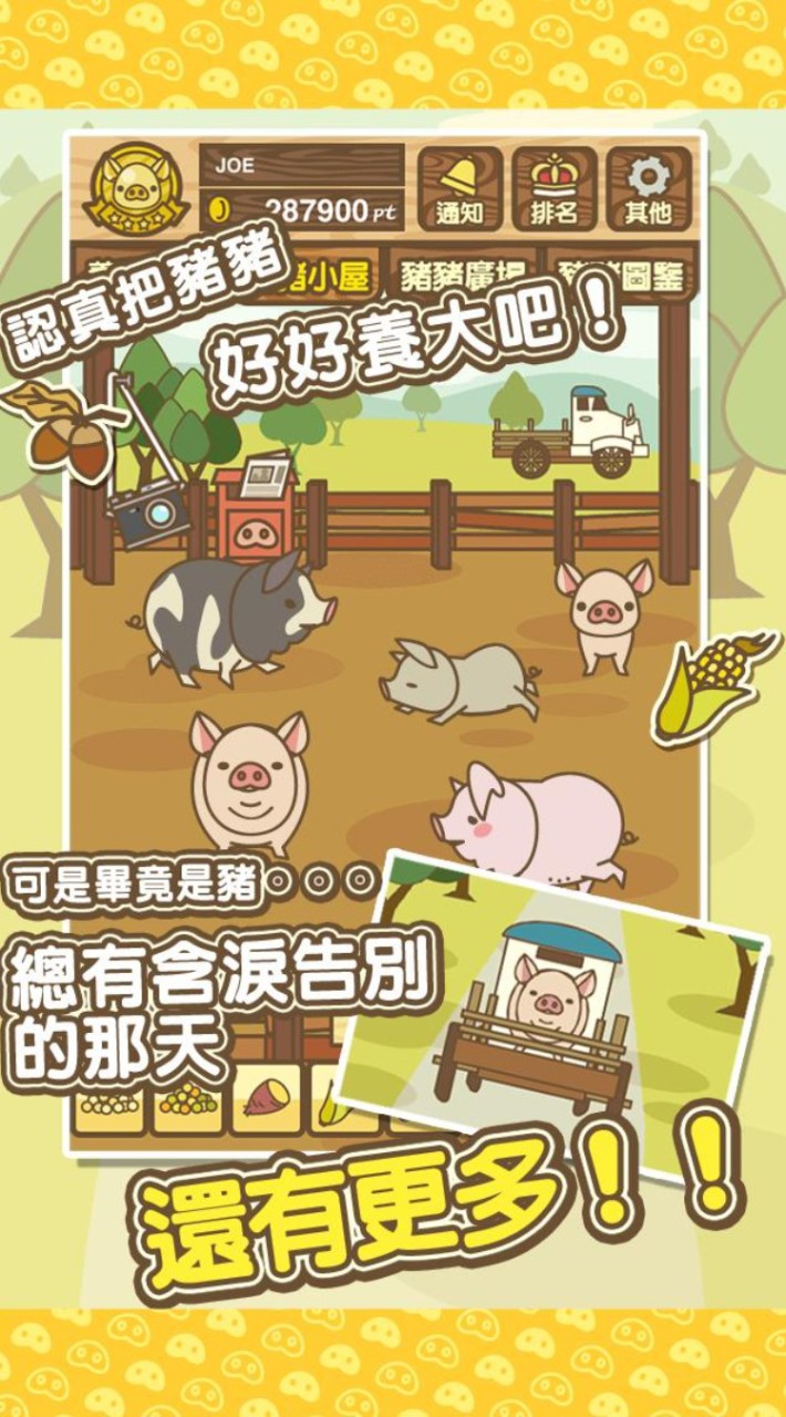 養豬場2D 2024新群