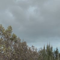 後湖小小農～永續實驗