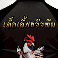 เด็กเลี้ยงวัวทีม