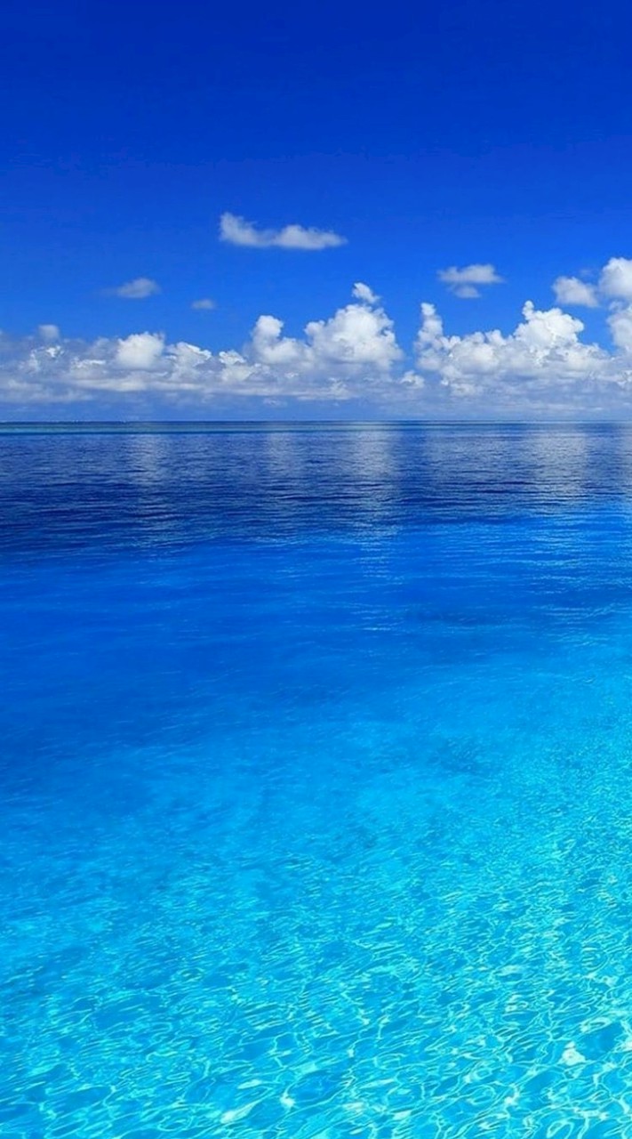 夏 コラ ?¿  也