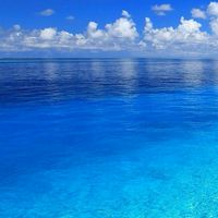 夏 コラ ?¿  也