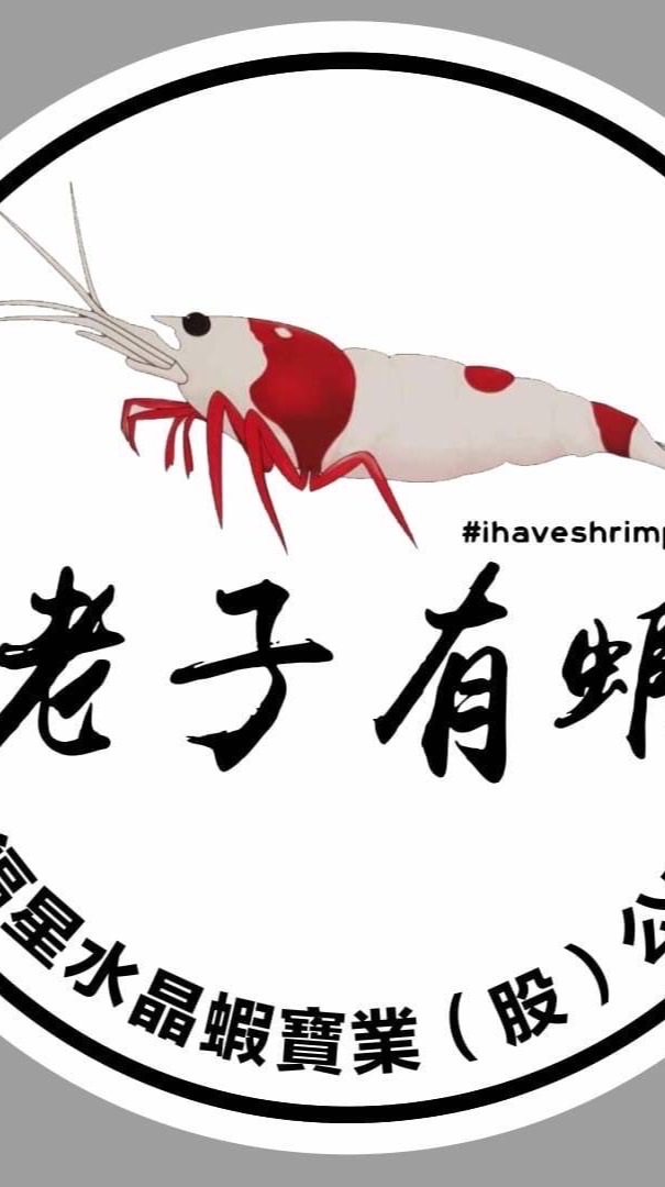 之四點實體店面水族魚坊