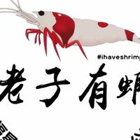 之四點實體店面水族魚坊