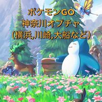 ポケモンGO神奈川(横浜・川崎・大船など)定員250名