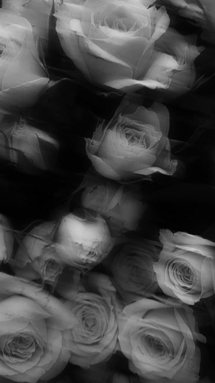 《九尾ノ狐 。》