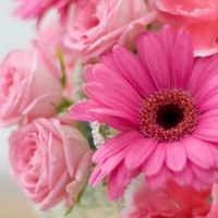 新『40代 or 高齢出産希望者(35～)限定』妊活から高齢出産を迎える方🍀 のトークroom🌼*･