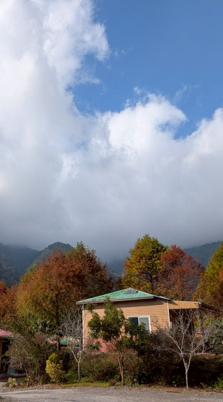 115-01-11武界雲海民宿