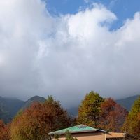 115-01-11武界雲海民宿