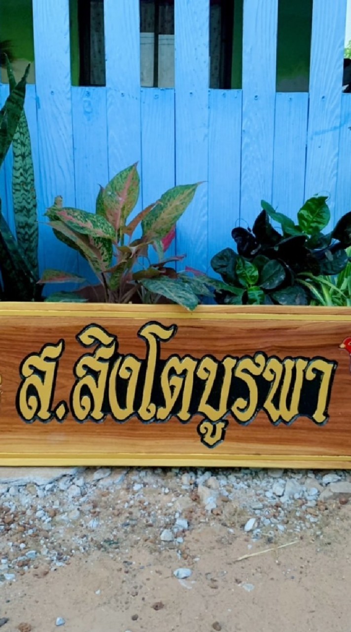 ส.สิงโตบูรพา