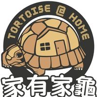 家有家龜 - 陸龜/模型/週邊