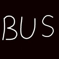 BUS OFFICIAL