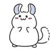 チンチラ(小動物）