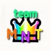 teamMNT