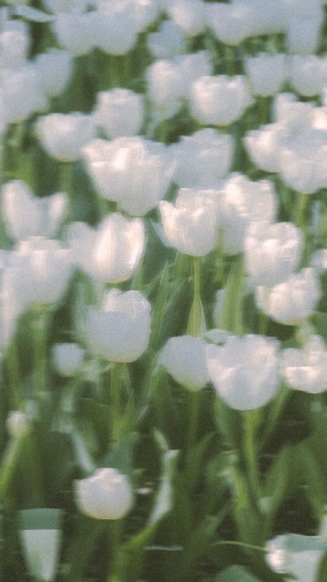 めるぷち🫰🏻💗LOVEな人入って！