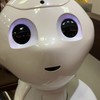 蹴られる前にアナウンスの言葉を言えたら副官あげちゃう