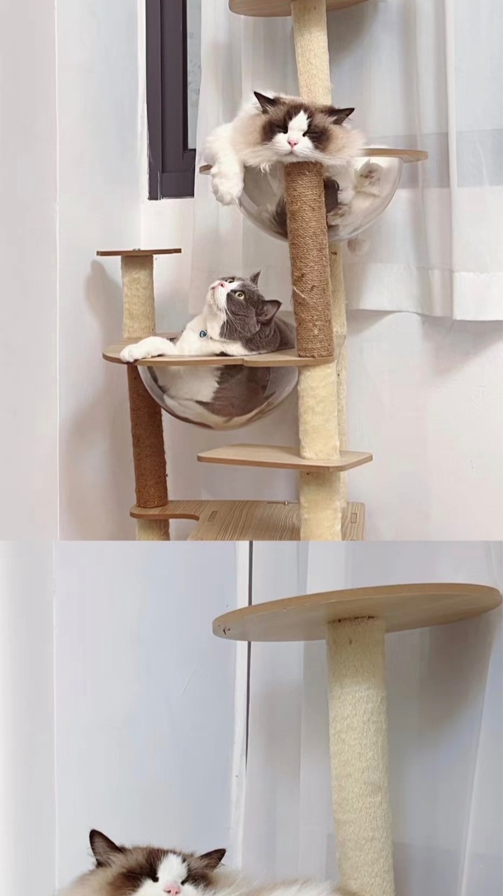 霧室貓町寵物用品