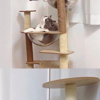 霧室貓町寵物用品