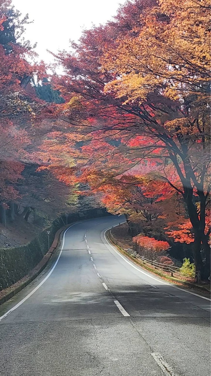 兵庫県　バイク乗りの遊戯