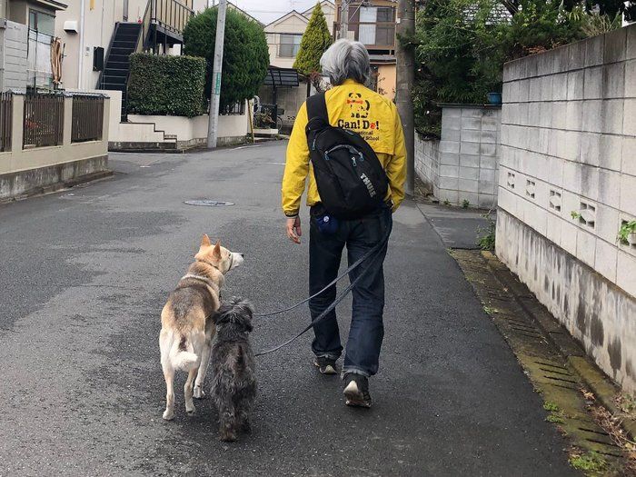 犬を飼っているとテレワークがはかどる